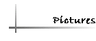 Pictures
